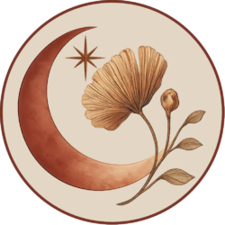 Loja Lua De Canela